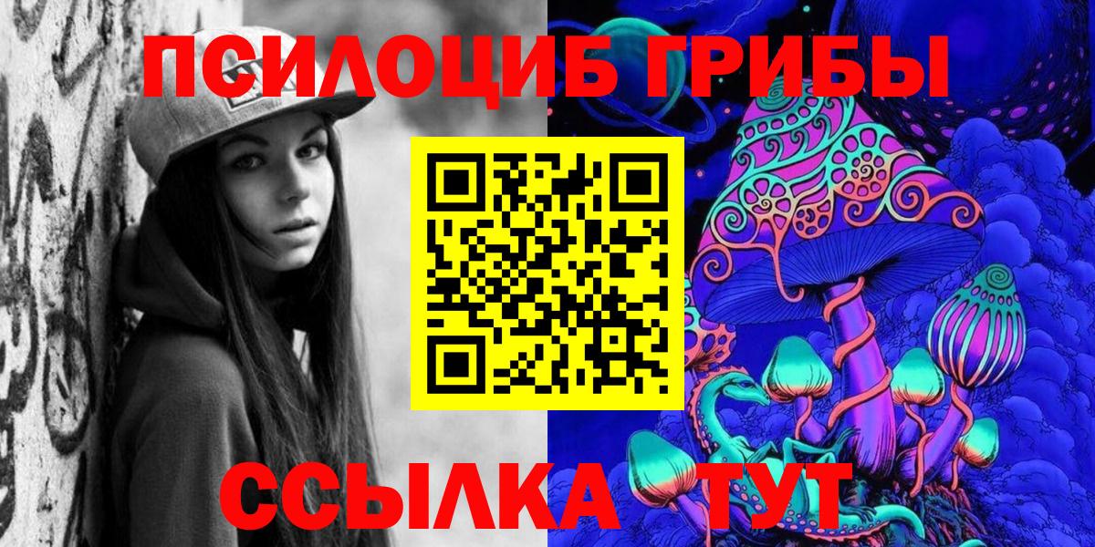 Псилоцибиновые грибы Psilocybine cubensis Ефремов